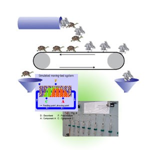 模拟移动床系统